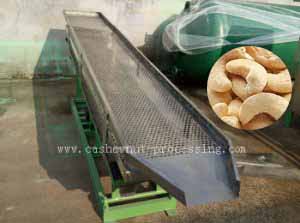 Cashew vibrate separator sifter for wholesale