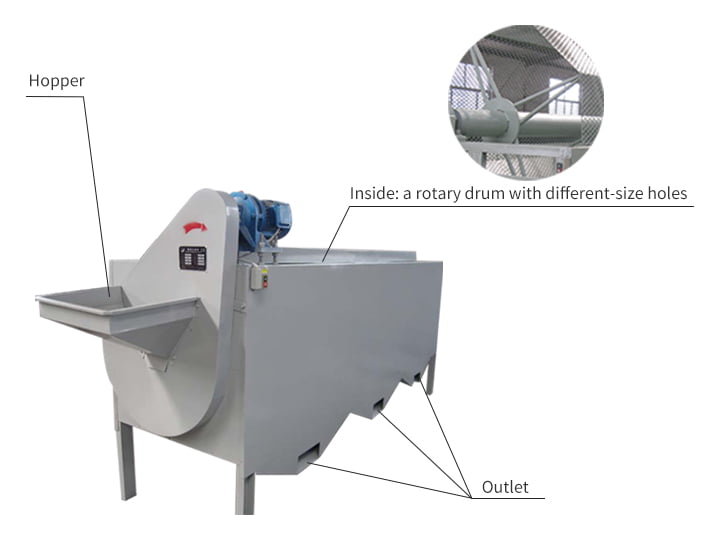 raw cashew nut grading machine