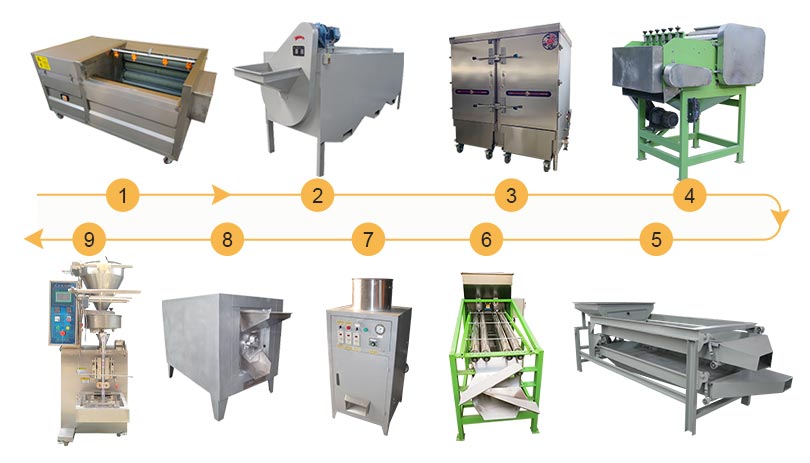 Cashew processing machines in cashew processing plant