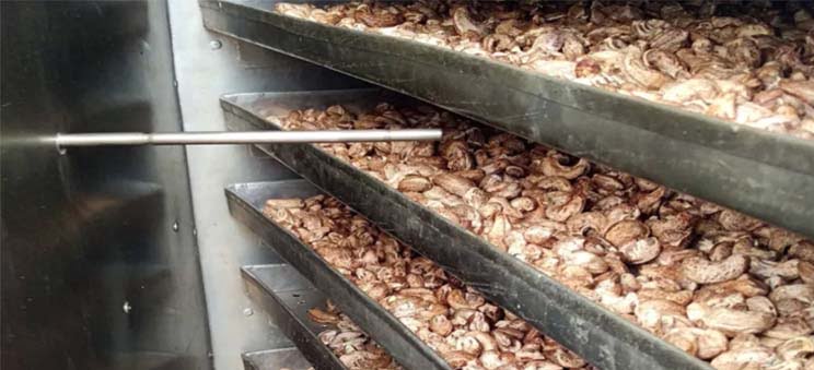 The Cost Of Cashew Nut Processing Plant 1 Cashew processing plant in tanzania