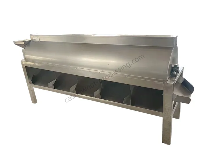 Máquina clasificadora de anacardos