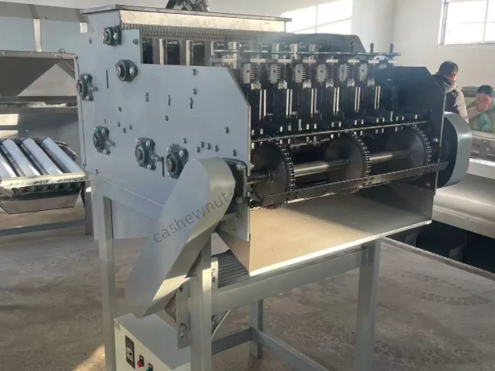 Máquina descascaradora de anacardos