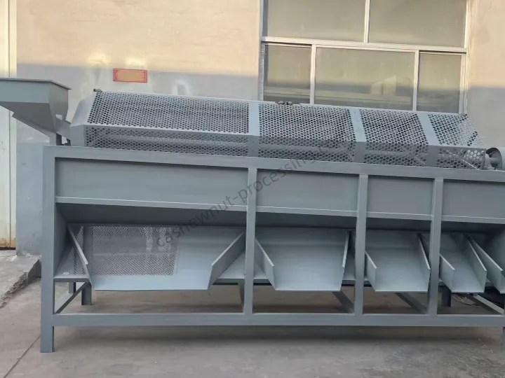 Clasificadora de anacardos crudos