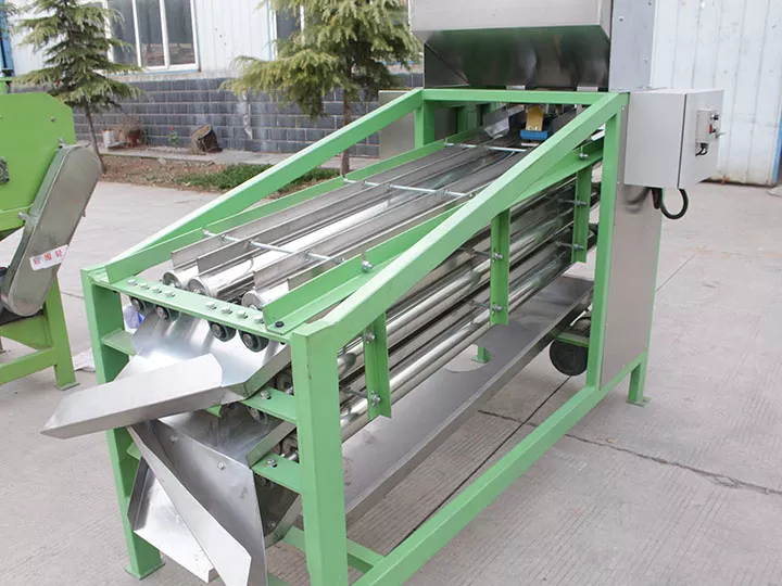 Raw Cashew Grading Machine | Cashew Nut Grader 7 Cashew kernel grading machine
