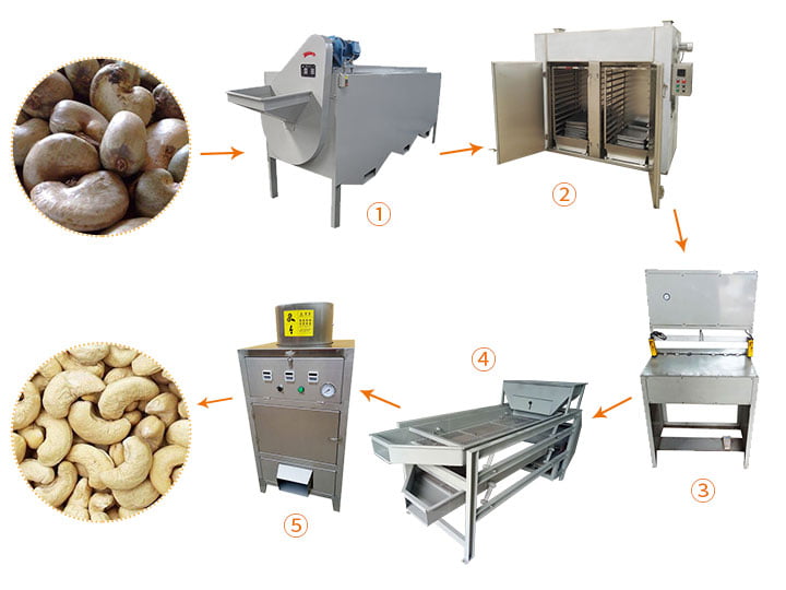 Cashew nut processing line