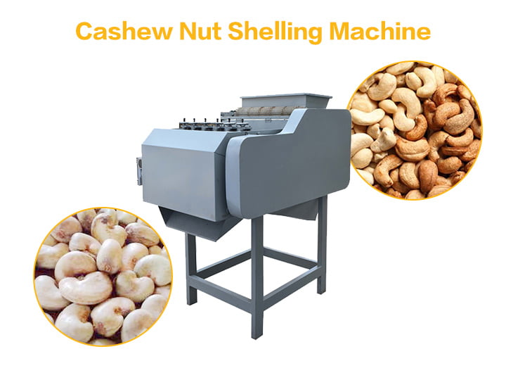 Why Do We Buy Cashew Nuts On The Market Without Shells? 1 Cashew nut shelling machine for sale
