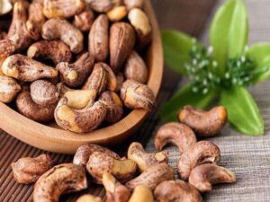 Área de producción de anacardos y tiempo de comercialización 3 Anacardos con piel