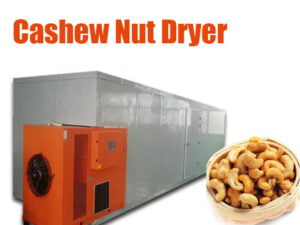 Cashew drying machine