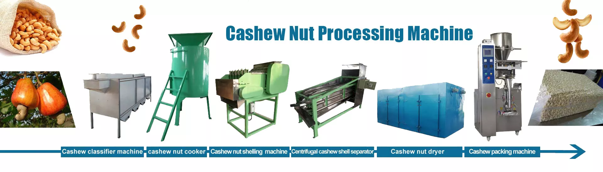 cashew processing machine