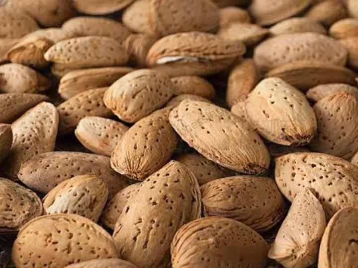 Almonds before shelling