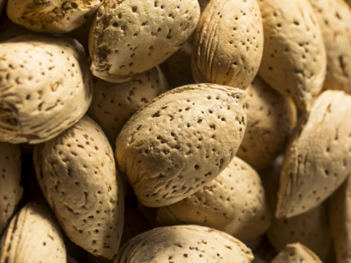 Промышленные машины для очистки миндаля 2 Бланшированный миндаль