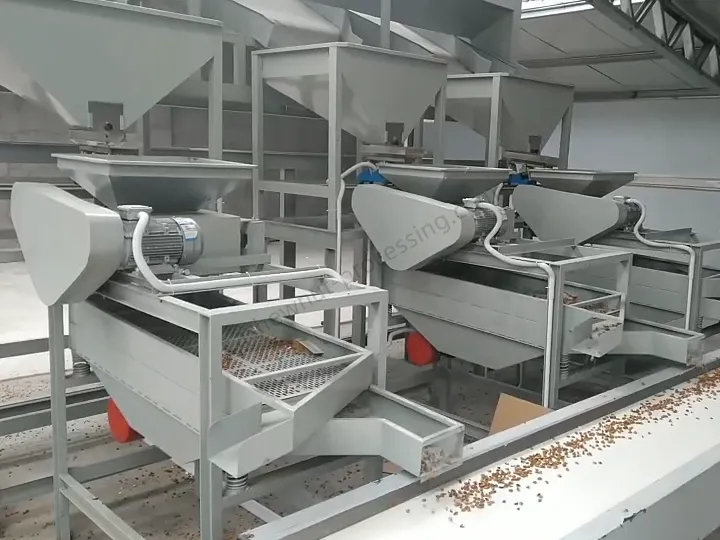 Almond sheller connected to the weighing hopper