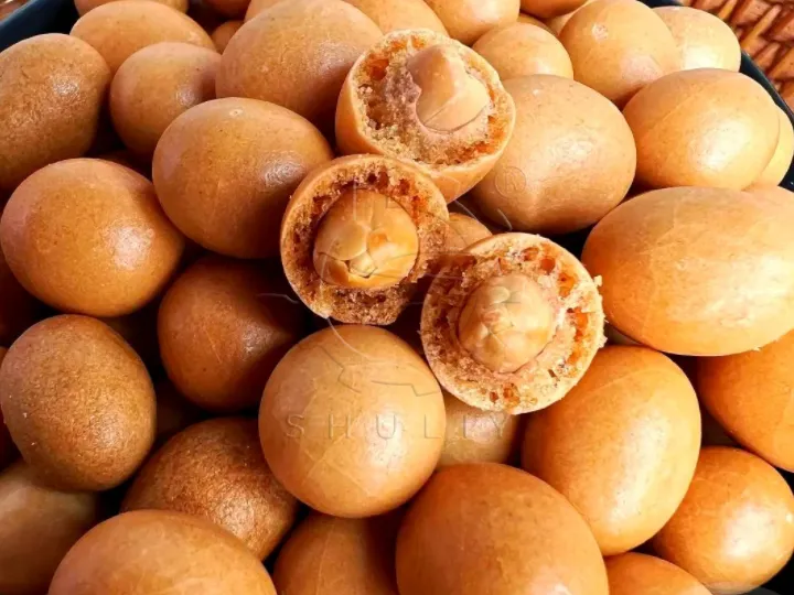 Shuliy Coated Peanut Production Line: From Raw Peanuts To Crunchy Snacks 1 Crispy-coated peanuts