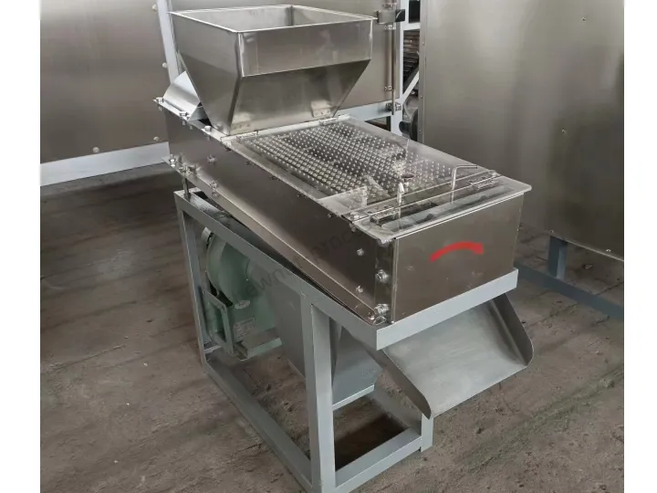 Línea de producción de cacahuetes recubiertos Shuliy: de cacahuetes crudos a snacks crujientes 7 Máquina de pelado seco de cacahuetes