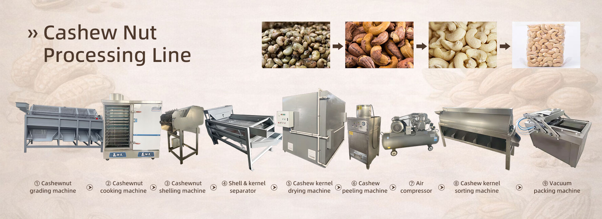Cashew nut processing line