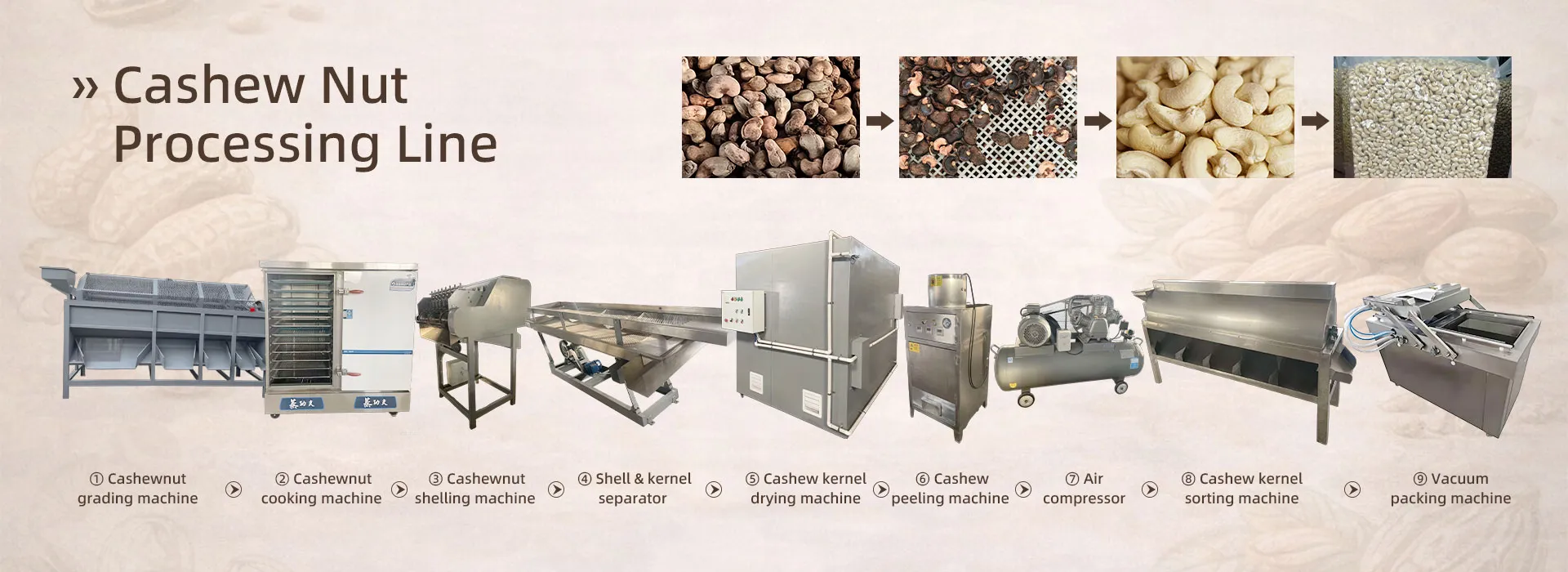 cashew nut processing line