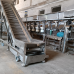 Hazelnut Opening Line