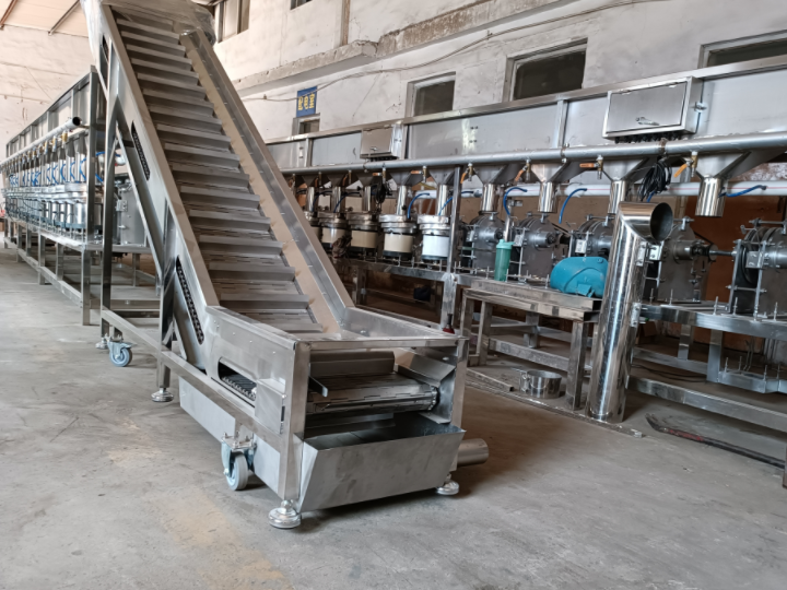 Hazelnut opening line