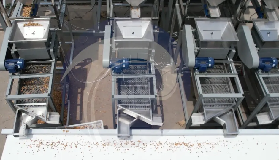 Top view of multiple almond sheller machines in working condition
